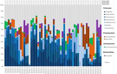 Seminal Microbiota of Idiopathic Infertile Patients and Its Relationship With Sperm DNA Integrity